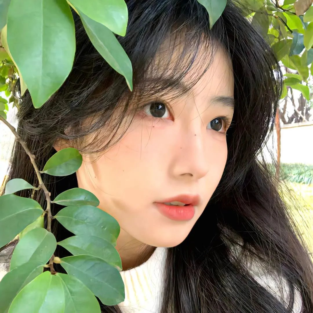 温柔安静的女人们